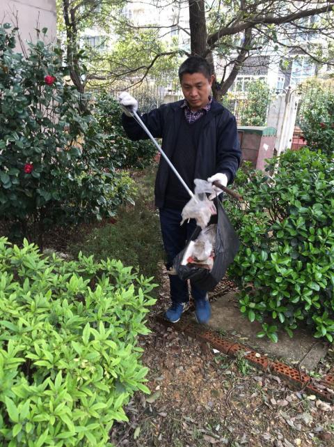 控制鼠害、預(yù)防疾病，構(gòu)建和諧文明社區(qū)